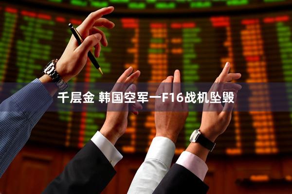 千层金 韩国空军一F16战机坠毁