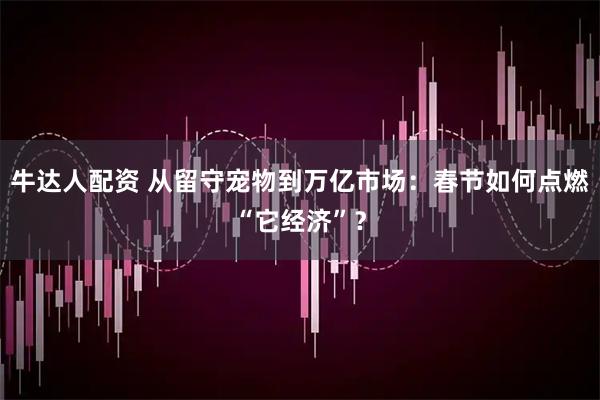 牛达人配资 从留守宠物到万亿市场：春节如何点燃“它经济”？