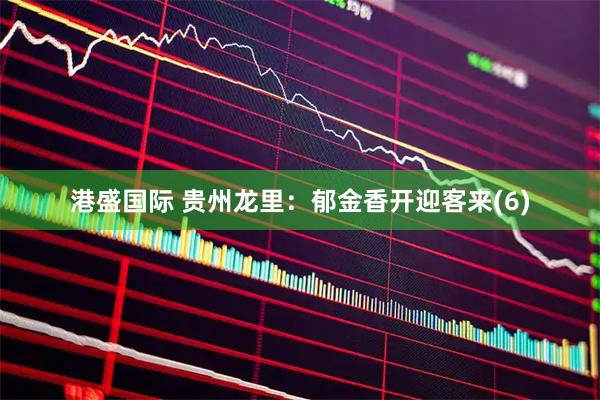 港盛国际 贵州龙里：郁金香开迎客来(6)