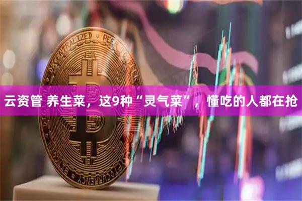 云资管 养生菜，这9种“灵气菜”，懂吃的人都在抢