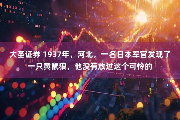 大圣证券 1937年，河北，一名日本军官发现了一只黄鼠狼，他没有放过这个可怜的