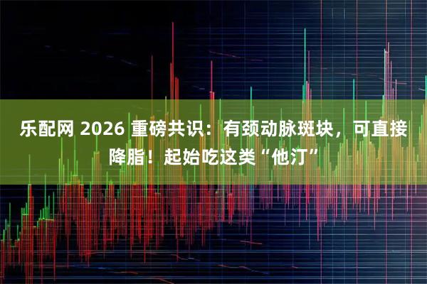 乐配网 2026 重磅共识：有颈动脉斑块，可直接降脂！起始吃这类“他汀”