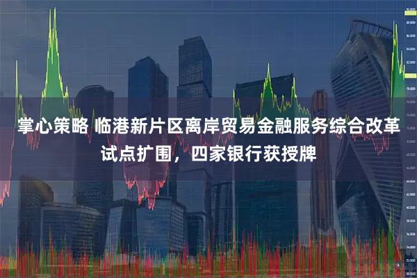 掌心策略 临港新片区离岸贸易金融服务综合改革试点扩围，四家银行获授牌