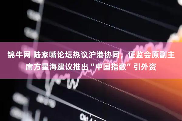 锦牛网 陆家嘴论坛热议沪港协同，证监会原副主席方星海建议推出“中国指数”引外资