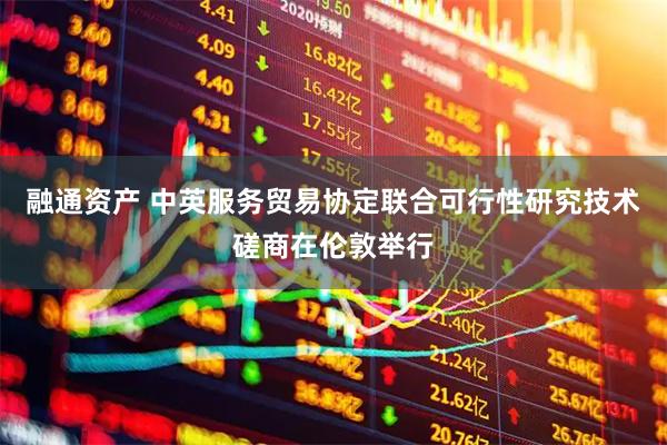 融通资产 中英服务贸易协定联合可行性研究技术磋商在伦敦举行