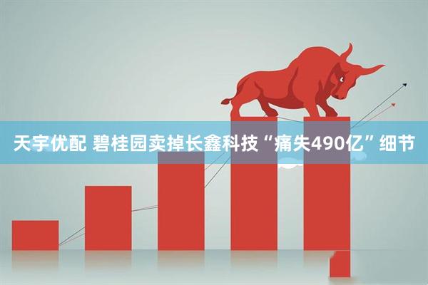 天宇优配 碧桂园卖掉长鑫科技“痛失490亿”细节